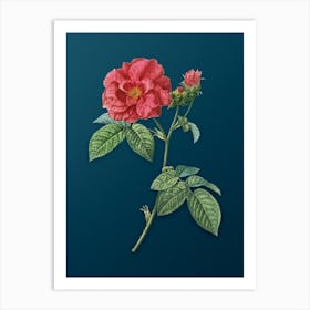 Vintage Apothecary Rose Botanical Art on Teal Blue Art Print