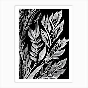 Scotch Broom Leaf Linocut 2 Art Print