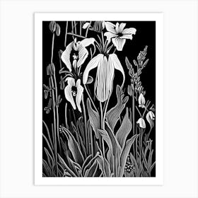 Marsh Bellflower Wildflower Linocut 2 Art Print