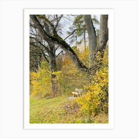 Autumn In The Woods 14 Art Print