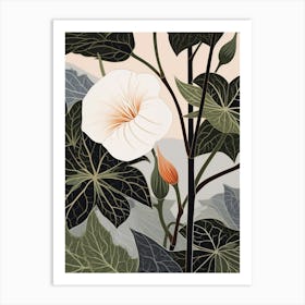 Flower Illustration Moonflower 3 Art Print