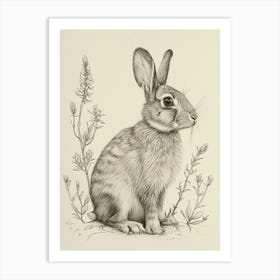 Rex Rabbit Drawing 2 Art Print