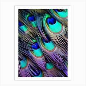 Peacock Feathers 12 Art Print