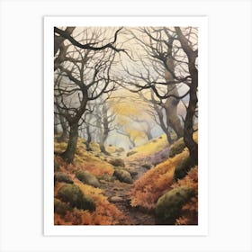 Autumn Forest Landscape Wistmans Wood England Art Print