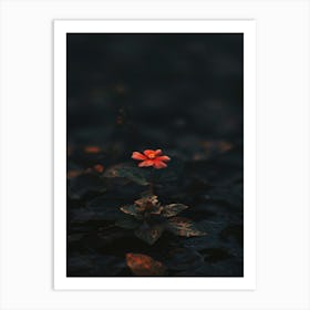 Single Flower In The Dark 85 Art Print