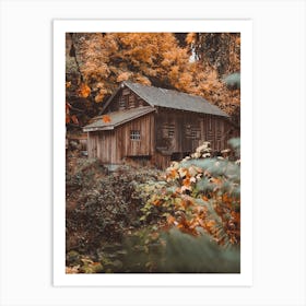 Autumn Cabin In Forest Art Print