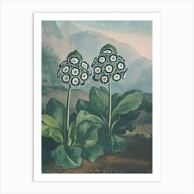 Two Flowers In A Field Art Print