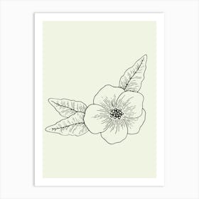 Flower Drawing line art Art Print