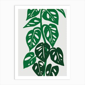 Monstera Plant Art Print