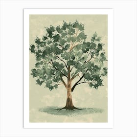 Pecan Tree Minimal Japandi Illustration 3 Art Print