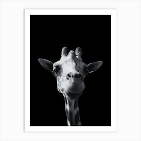 Giraffe 2 Art Print