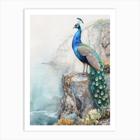 Peacock On A Cliff Edge Watercolour 2 Art Print