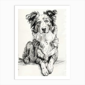 Australian Shepherd Dog Line Sketch 3 Art Print