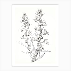 Snapdragons Flower Vintage Botanical 2 Art Print