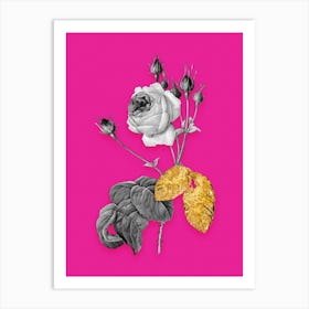 Vintage Cabbage Rose Black and White Gold Leaf Floral Art on Hot Pink n.0787 Art Print