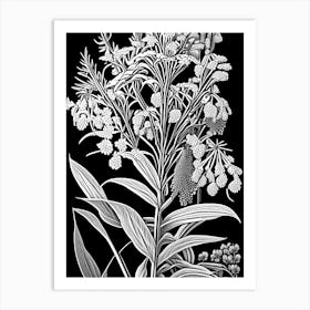 Swamp Milkweed Wildflower Linocut Art Print