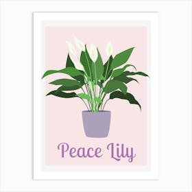 Peace Lily Houseplant Art Print