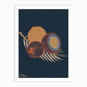 Coconuts And Coconut Tree Branch Art Print