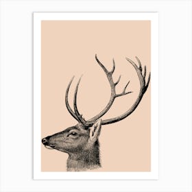 Deer Head Art Print