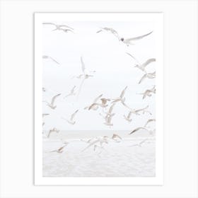 Seagulls Over Ocean Art Print