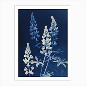 Lupine Time Art Print