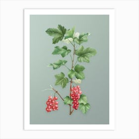 Vintage Redcurrant Plant Botanical Art on Mint Green n.0149 Art Print