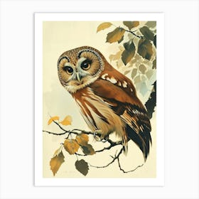 Northern Saw Whet Owl Vintage Illustration 1 Art Print