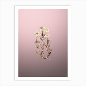 Gold Botanical Prince Bisignano's Tree Pink on Rose Quartz Art Print