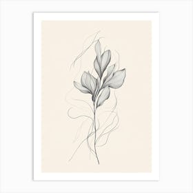 Drawing Of A Flower 5 Art Print