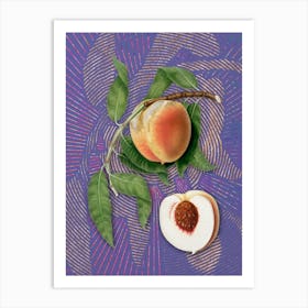 Vintage Peach Botanical Illustration on Veri Peri n.0077 Art Print