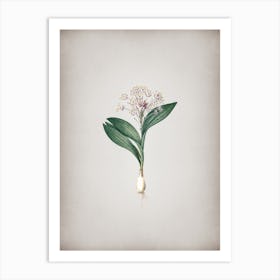 Vintage Pygmy Hyacinth Botanical on Parchment n.0739 Art Print