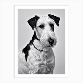 Lakeland Terrier B&W Pencil Dog Art Print