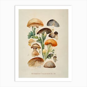 Mushroom Collection 04 Art Print