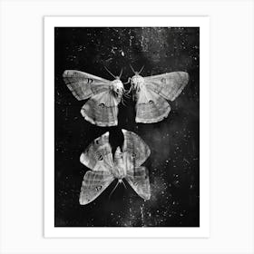 Moths 2 Art Print