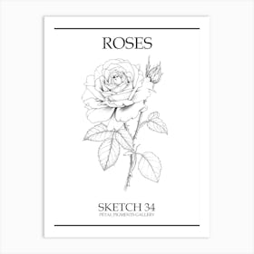 Roses Sketch 34 Poster Art Print