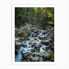 Stream In The Forest Art Print