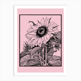 Sunflower On A Pink Background 1 Art Print