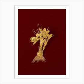 Vintage Crocus Luteus Botanical in Gold on Red n.0613 Art Print