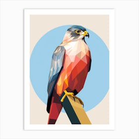 Colourful Geometric Bird Eurasian Sparrowhawk Art Print