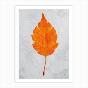 One Sheet Of Orange Art Print