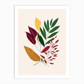 Curry Leaves Spices And Herbs Minimal Line Drawing 1 Art Print