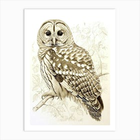Barred Owl Marker Drawing 2 Art Print