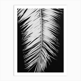 Palm Leaf Contrast_2192478 Art Print