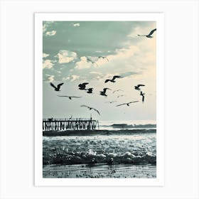 Seagulls On The Beach Art Print