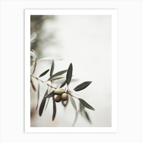 Olive Branch Art Print