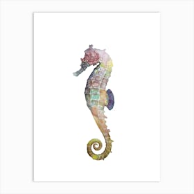 Sea Life Seahorse Art Print