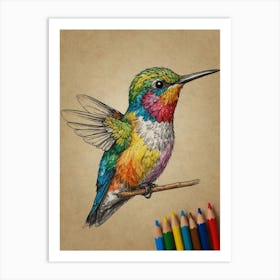 Hummingbird 38 Art Print