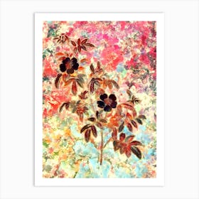 Impressionist Musk Rose Botanical Painting in Blush Pink and Gold 2 Art Print