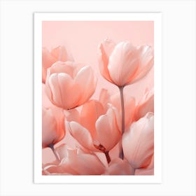Bleached Tulips Art Print
