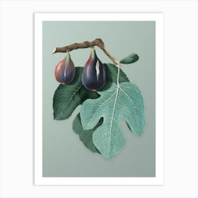 Vintage Fig Botanical Art on Mint Green n.0358 Art Print